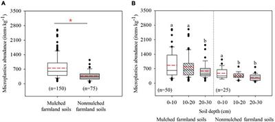 Exploring the Occurrence Characteristics of Microplastics in Typical Maize Farmland Soils With Long-Term Plastic Film Mulching in Northern China